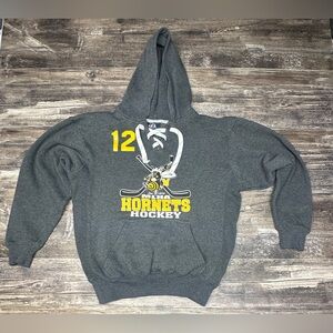 Hornets Hockey Lace Up Hoodie MLHA Gray J America Small